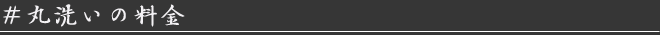 丸洗いの料金
